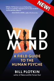 wild mind book